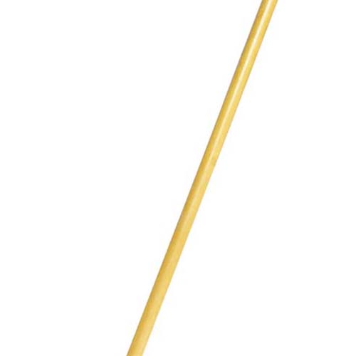 1031239_01.jpg