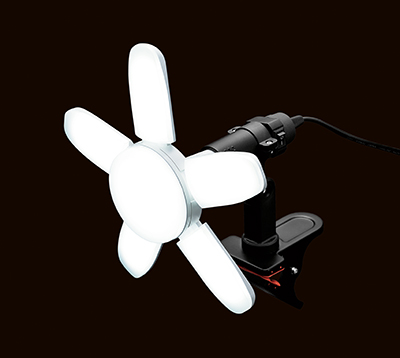 1042499_01.jpg