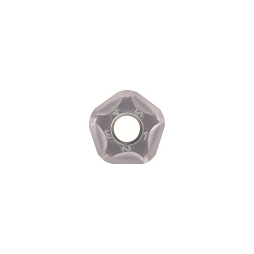 256026_01.jpg