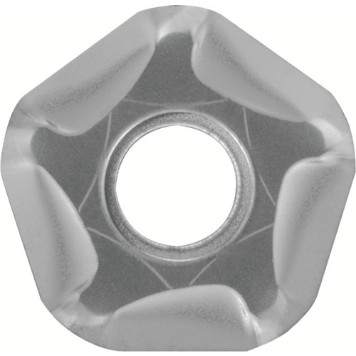 256029_01.jpg