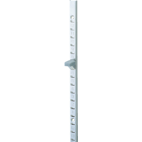 285499_01.jpg