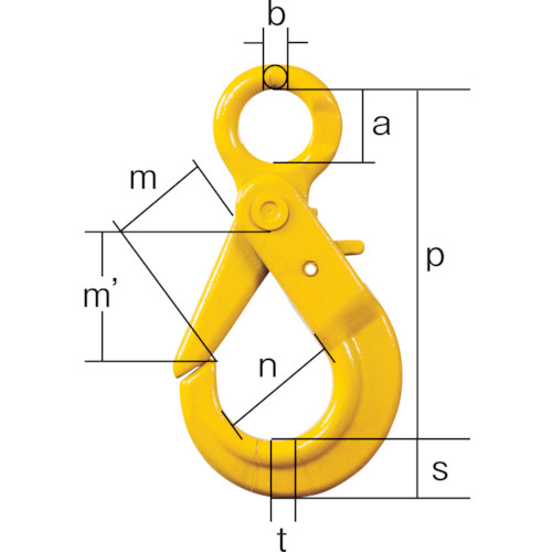 317700_01.jpg