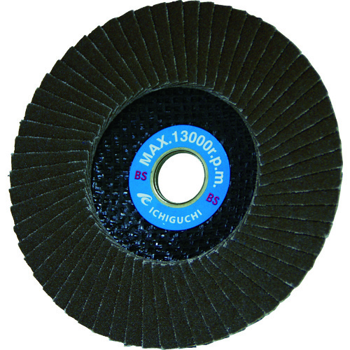 449038_01.jpg