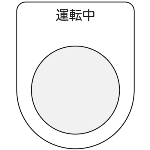584309_01.jpg