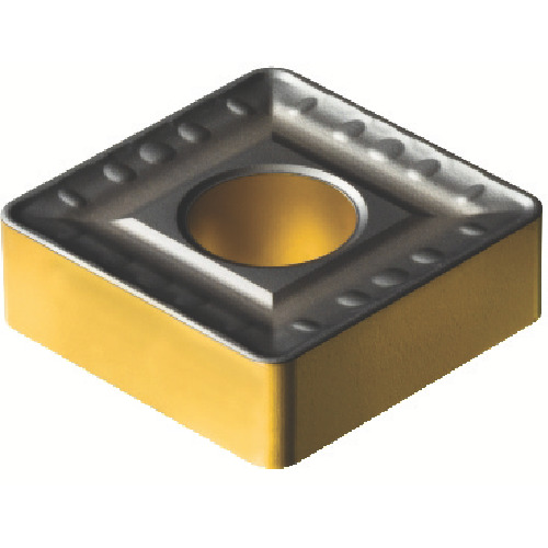 589150_01.jpg