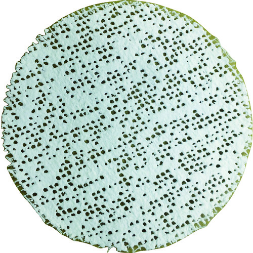601778_01.jpg