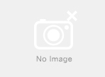 サンドビック T-Max P 旋削用ネガ・チップ(112) 4325 WNMG 08 04 16-PM 