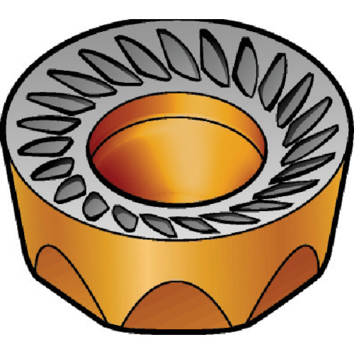 609959_01.jpg