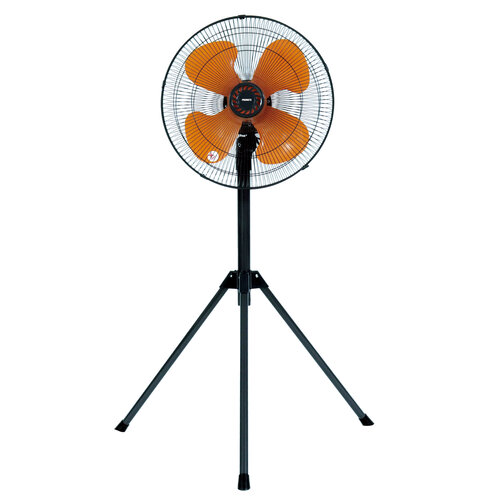 862700_01.jpg