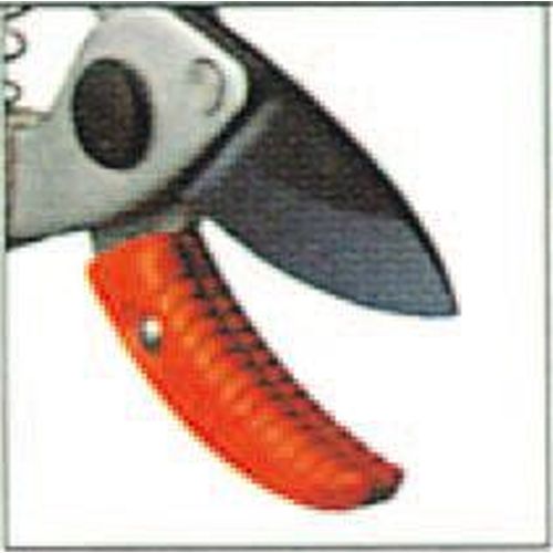 867269_01.jpg