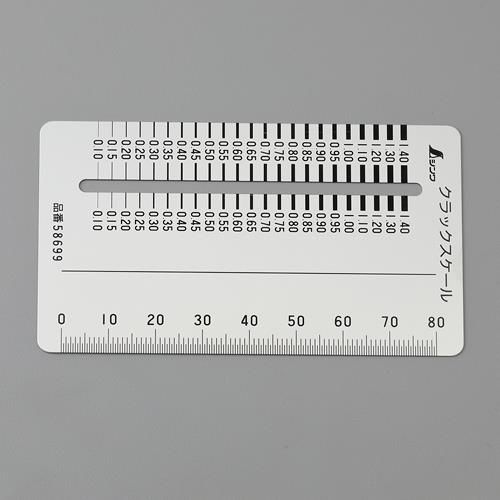 915589_01.jpg
