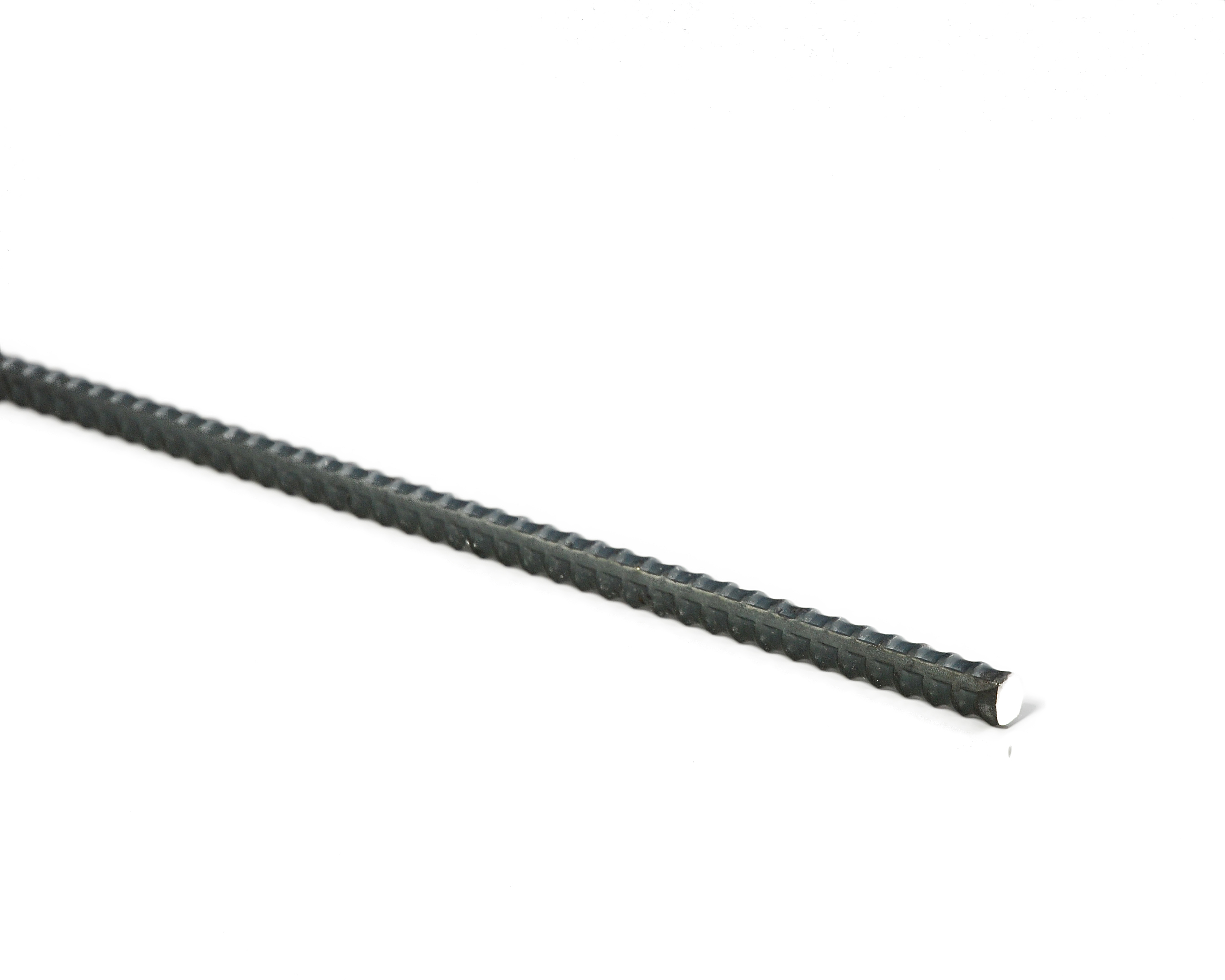 962064_01.jpg