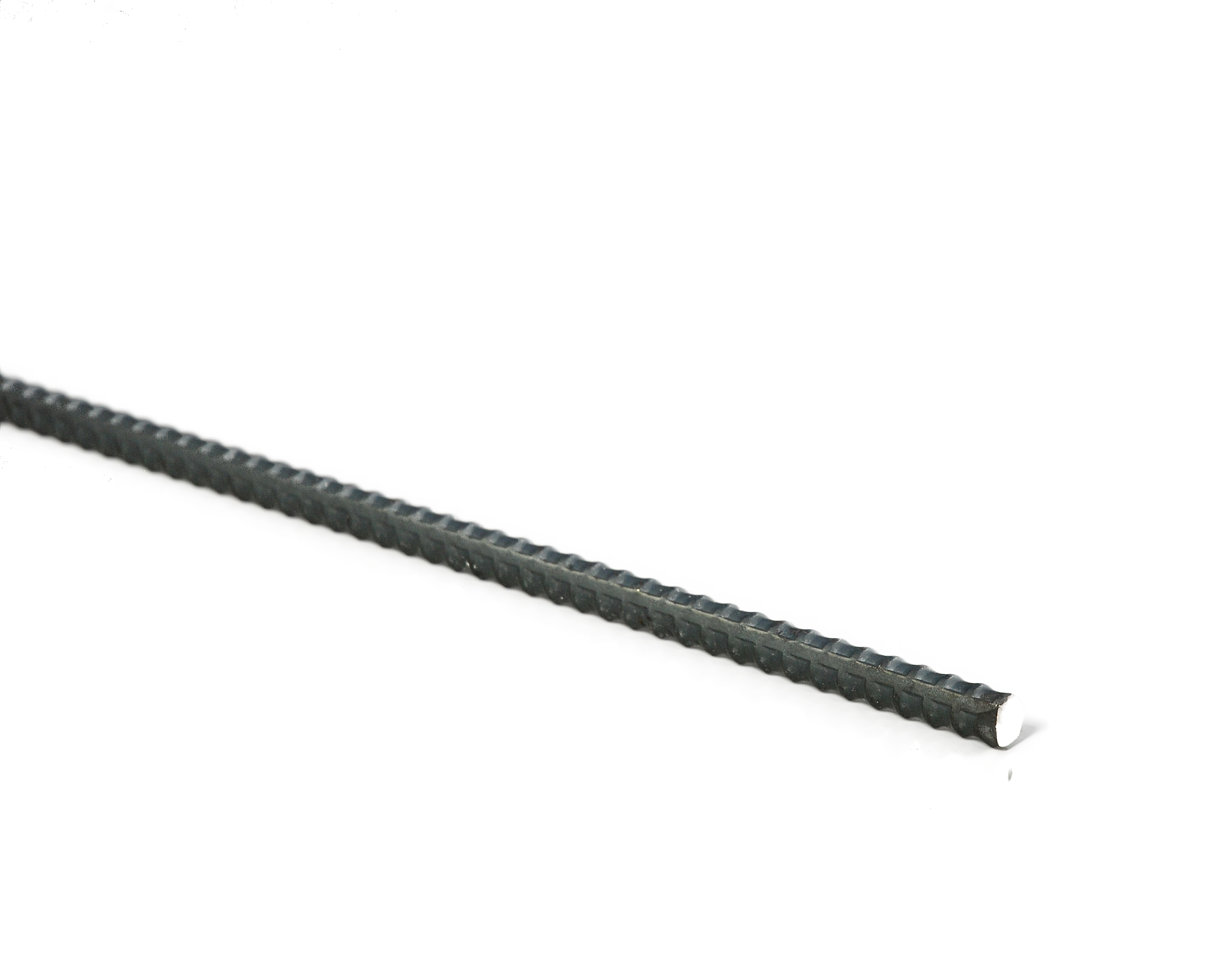 962065_01.jpg