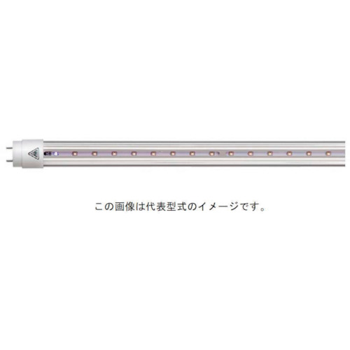 972074_01.jpg