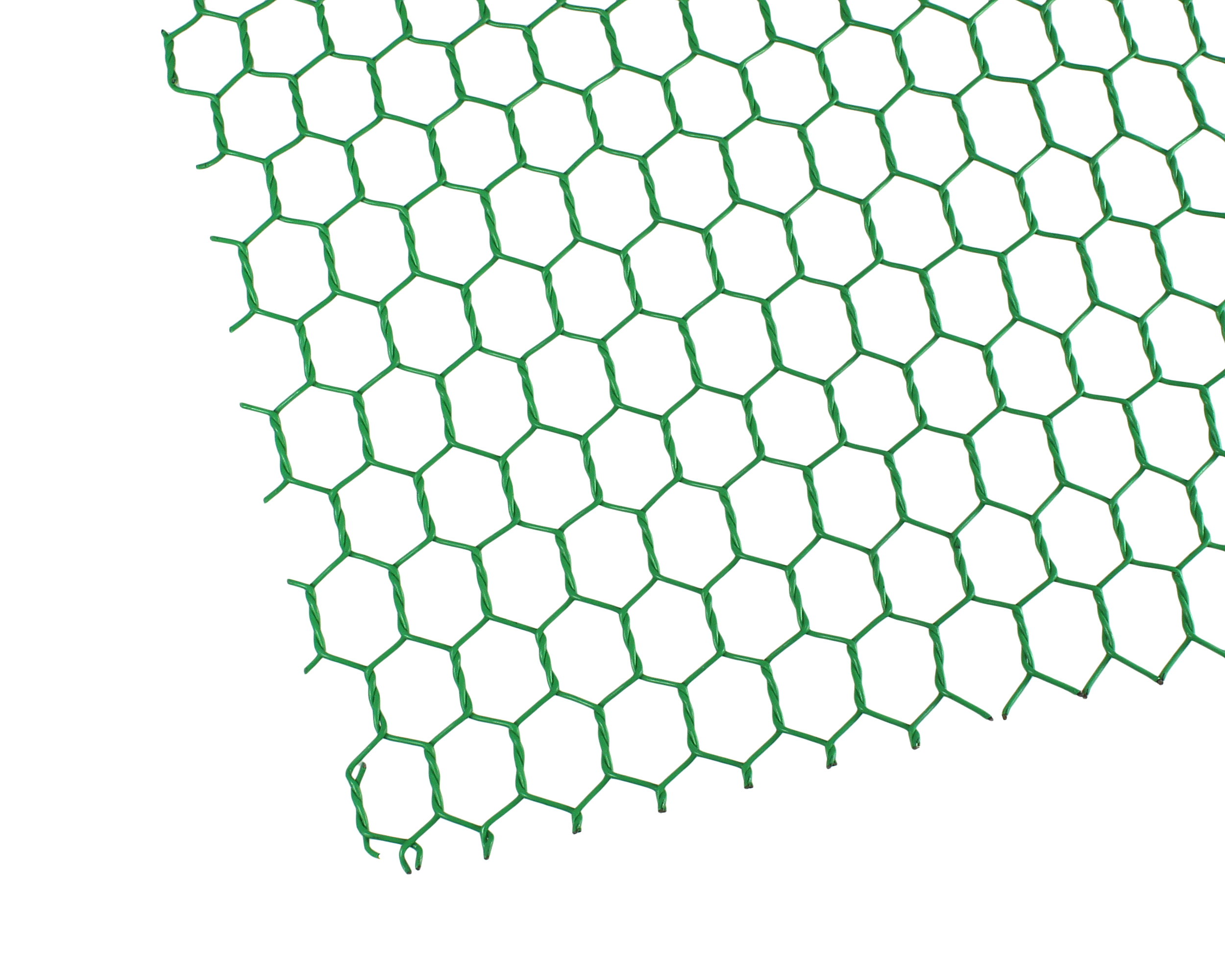 981244_01.jpg