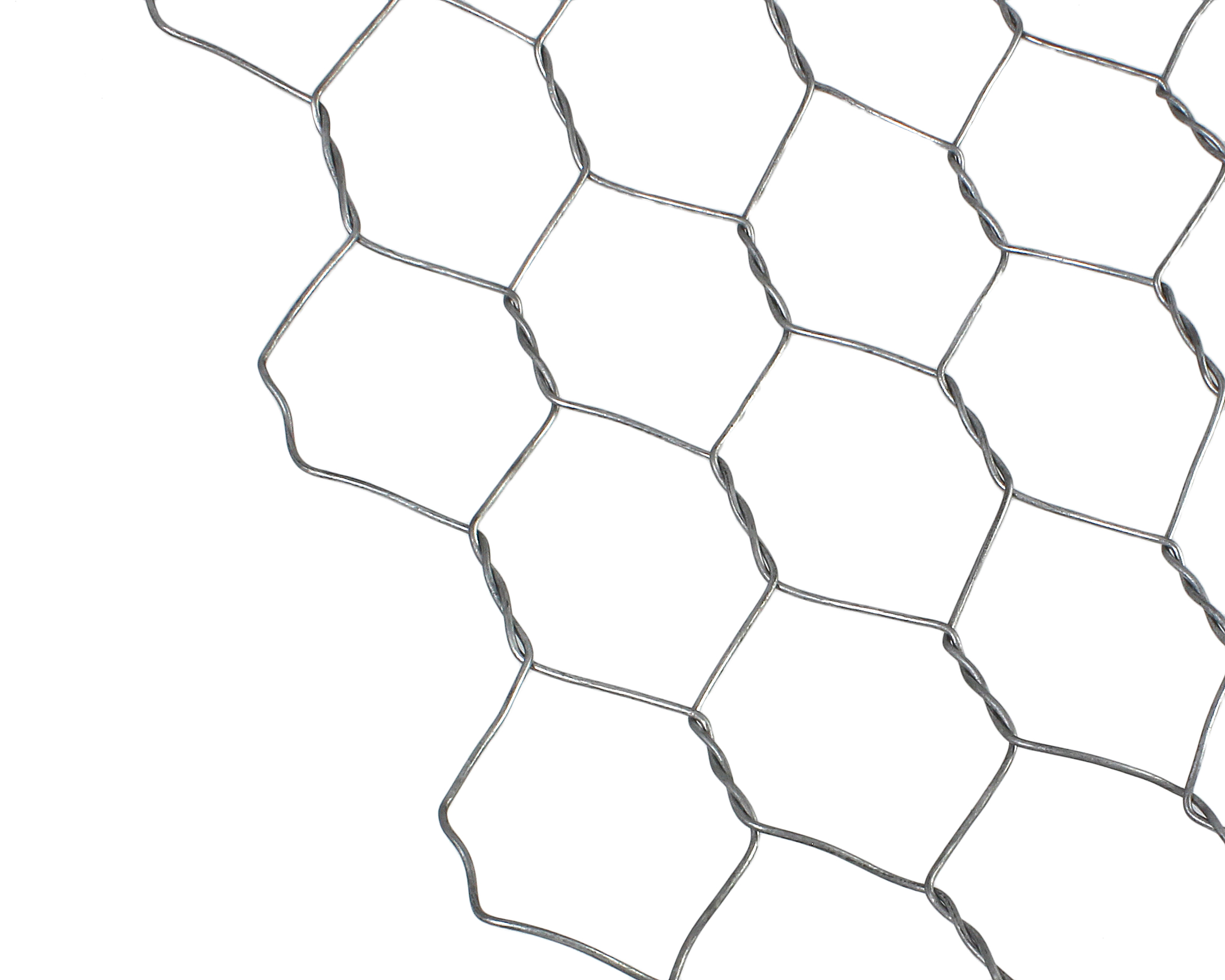 981246_01.jpg
