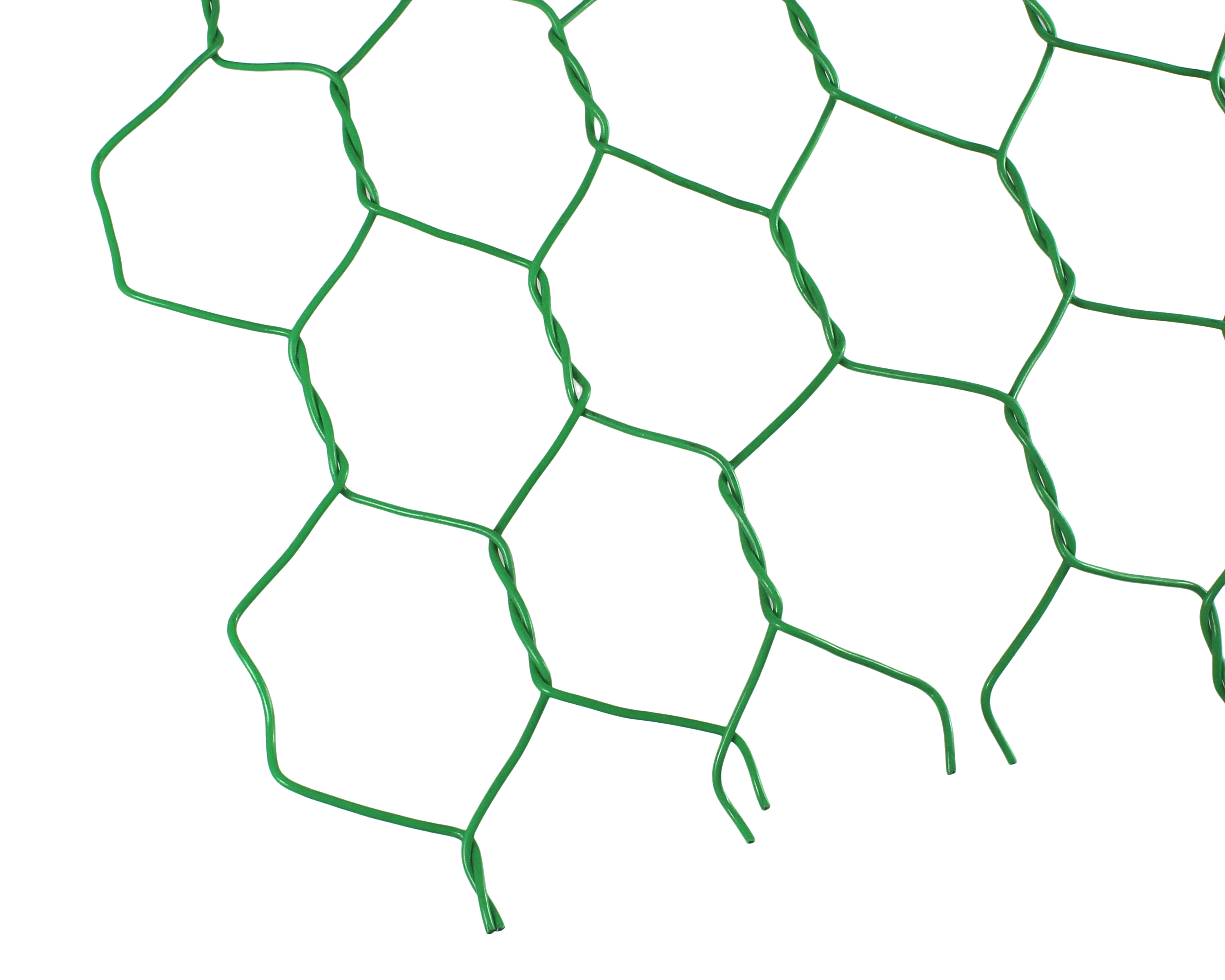 981247_01.jpg