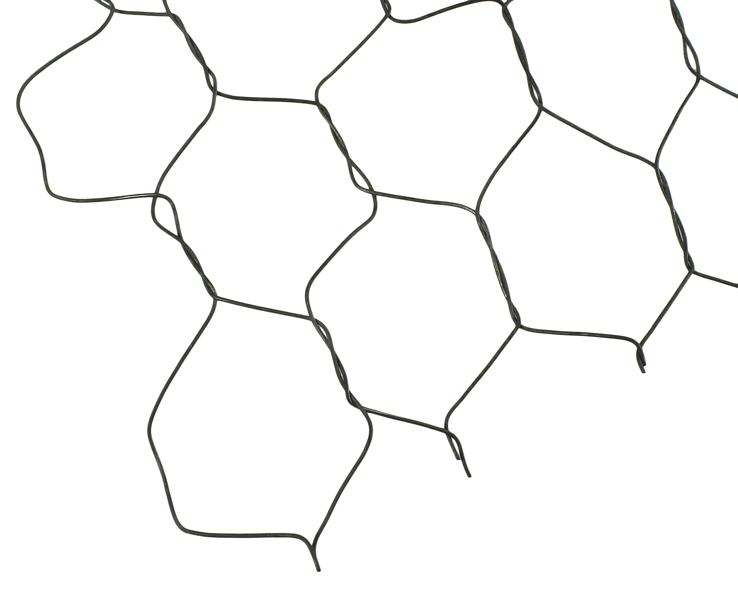 981248_01.jpg