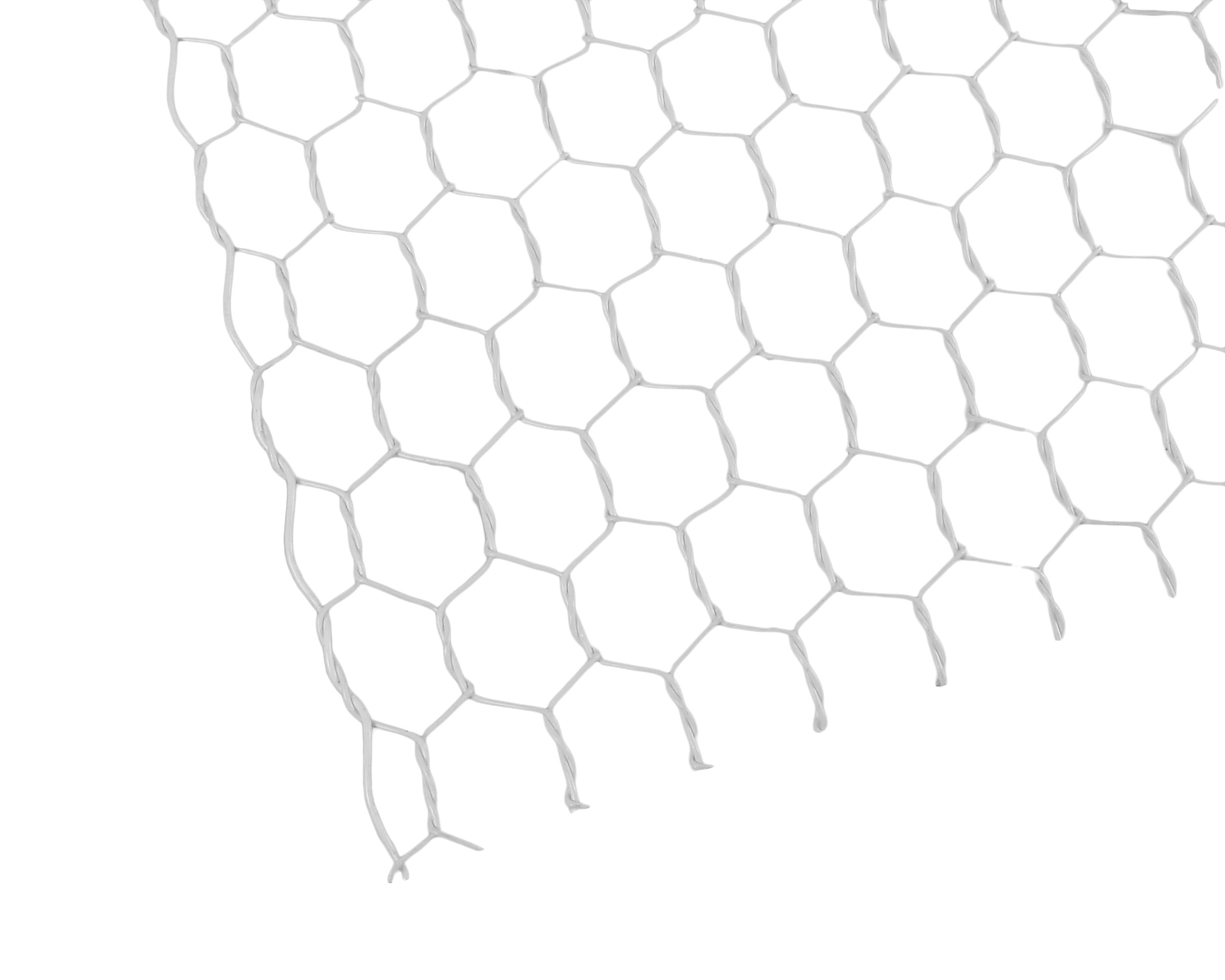 981250_01.jpg