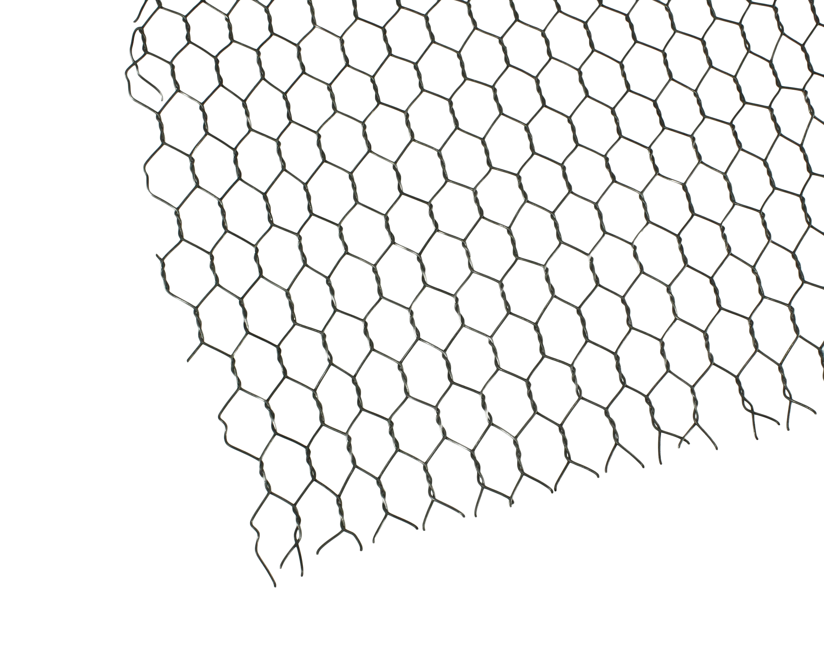 981251_01.jpg