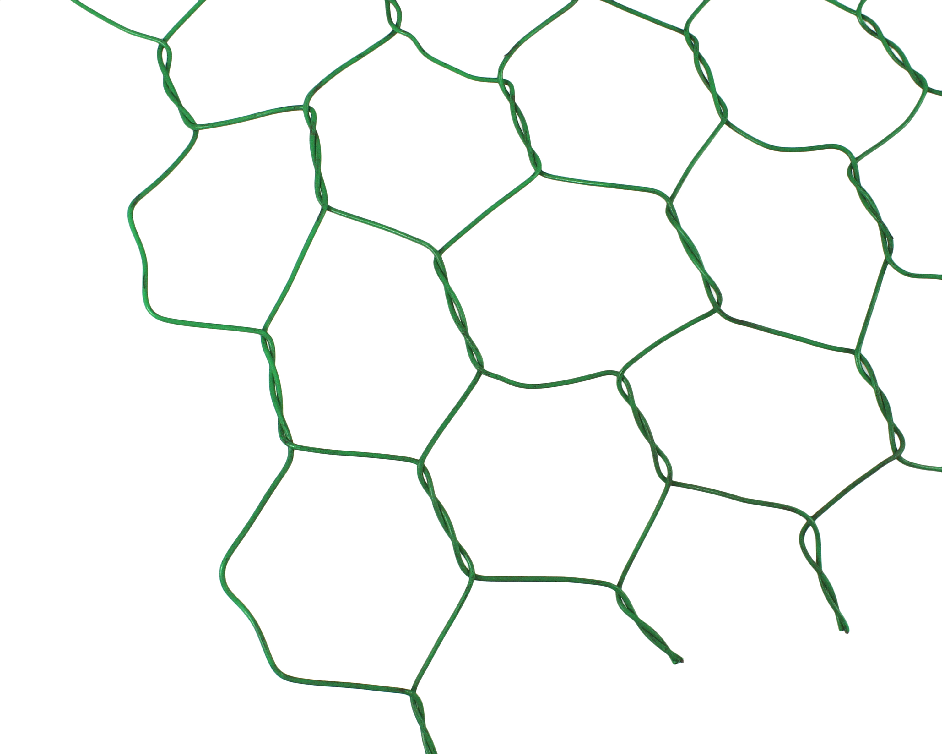 981252_01.jpg